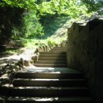 „Stufen“ von Hermann Hesse, oder: Warum Routine lähmt