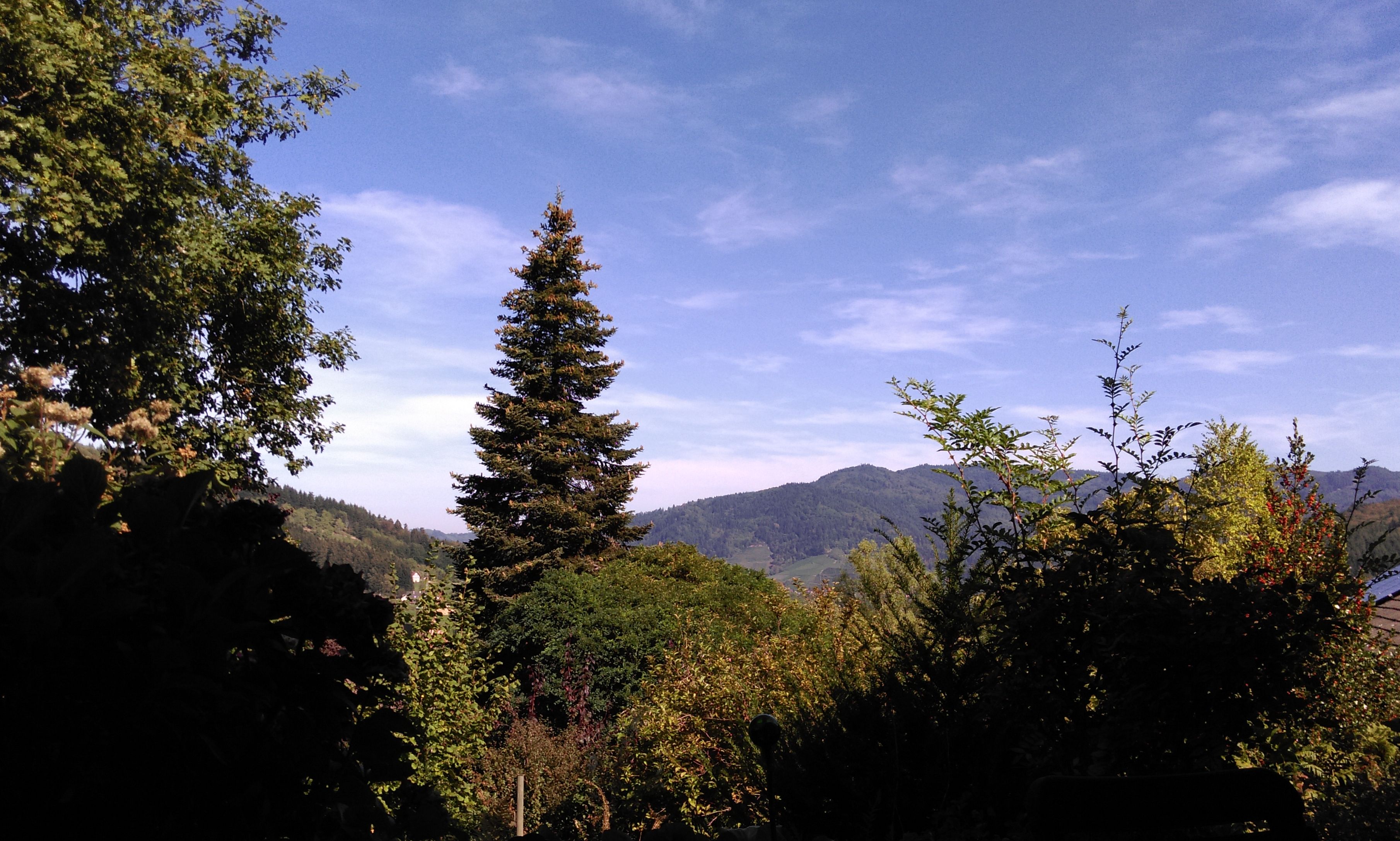 Frühstück auf der Terrasse